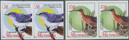 Mikronesien: 2004, Definitive Issue 'birds' Set Of Two With 2c. Polioptila Caerulea And 10c. Rallus - Micronésie