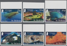 St. Helena: 2014, Christmas 'Sea-animals' (Whale Shark, Seaslug, St. Helena Gregory, Cunning Fish, S - St. Helena