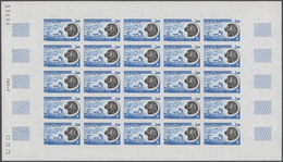 St. Pierre Und Miquelon - Portomarken: 1973, Postage Dues ‚Newfoundlander‘ Complete Set Of Five In C - Timbres-taxe