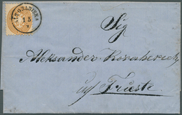 Bosnien Und Herzegowina: 1865, Entire Letter From BANJA LUKA 14 April To Triest (slight Tear At Top - Bosnie-Herzegovine