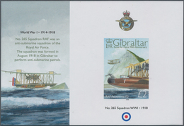 Gibraltar: 2008. IMPERFORATE Souvenir Sheet For The Issue "90 Years Royal Air Force" Showing "RAF Fe - Gibraltar