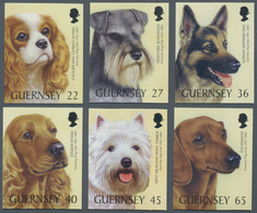 Großbritannien - Guernsey: 2001. Complete Set "100 Years Guernsey Dog Club: Dog Breeds" (6 Values) I - Guernsey