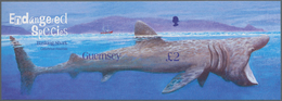 Großbritannien - Guernsey: 2005, Miniature Sheet "Endangered Species - Basking Shark" In Original Si - Guernsey