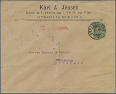 Norwegen - Ganzsachen: 1892, 5 Öre Private Stationery Envelope As Printed Matter From Christiania To - Interi Postali