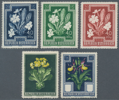 Österreich: 1948, 40 Gr. + 20 Gr. "Primula Vulgaris", Drei Einfarbige Probedrucke (Stichtiefdruck) I - Gebraucht