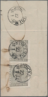 Schweden: 1855 SEX SKILL Bco. Brownish Grey Pair (almost Separated) Used On Piece And Tied By "STOCK - Gebraucht