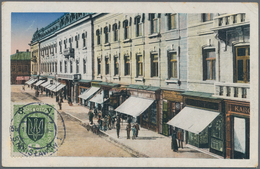 Westukraine: 1919, Lot Mint/used On Piece Inc. Pairs On Piece All Tied "STANISLAU" Resp. Cto On Blan - Ukraine