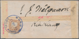 China - Lokalausgaben / Local Post: Wuhu, 1894, 40 C. Yellowish Brown Tied Blue "WUHU 21 NOV 94" To - Sonstige & Ohne Zuordnung