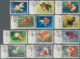 China - Volksrepublik: 1960, Goldfish (S38), Complete Set Of 12, CTO Used, Mostly With Marginal Impr - Covers & Documents