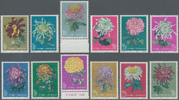 China - Volksrepublik: 1960/61, Chrysanthemums (S44), Complete Set Of 18, All MNH, Partly With Margi - Lettres & Documents