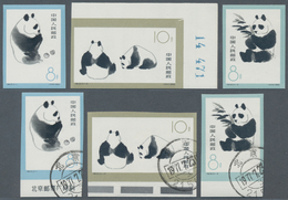China - Volksrepublik: 1963, Giant Panda Imperforate (S59B), 2 Complete Sets Of Three, Both MNH And - Cartas & Documentos