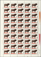 China - Volksrepublik: 1981, Cattle (T63), 50 Complete Sets Of 6 On Full Sheets, All MNH, All Sheets - Lettres & Documents