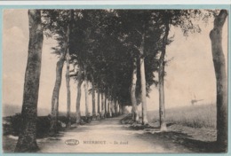 Meerhout : De Dreef (molen) - Meerhout