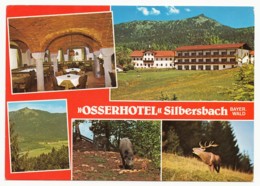 Silbersbach (Lohberg) - Lkr. Cham - Osserhotel Im Bayer. Wald - Cham