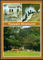 C7870 - TOP Stralsund Tierpark Zoo - Verlag Bild Und Heimat Reichenbach - Stralsund
