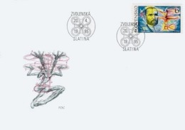 SLOVAKIA - FDC,  Year 2001 - FDC