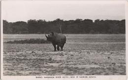 Rhino - Namanga River Hotel, Nairobi, Kenya - Kenya