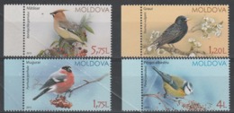 760.JASEUR BOREAL,BOUVREUIL,MESANGE BLEUE,ETOURNEAU SANSONNET - Sperlingsvögel & Singvögel