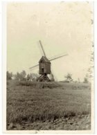 OOSTERLOO - ? ? - Geel - Kleine Foto 10 X 7 Cm - Houten Staakmolen - Uit Te Zoeken - Geel