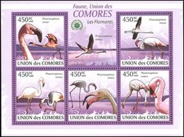 COMORES Flamants Roses 5v 2009 Neuf ** MNH - Isole Comore (1975-...)