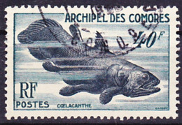 Comores 1954 Coelacanthe, Quastenflosser, Yv 13, Mi 31 Oblitéré O, Je Vends Ma Collection! - Gebraucht