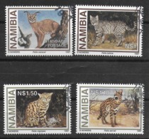 Namibia Cats - Raubkatzen