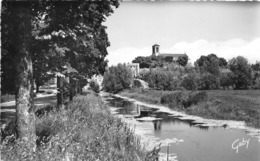 CHAILLE LES MARAIS      LE CANAL DE L EGLISE - Chaille Les Marais