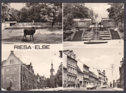 GERMANY , RIESA ,    ZOO ,  OLD  PHOTO - Riesa