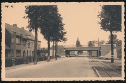 OOSTKAMP   AUTOSTRADE - Oostkamp