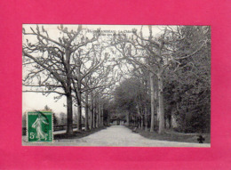 17 Charente Maritime, Mirambeau, Le Château, Allée Des Platanes, 1911, (C.C.C. & C.) - Mirambeau