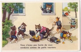 Carte Ancienne , Chatons Très Turbulents énervent Leur Instituteur - Humorkaarten