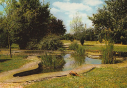 CHAILLE LES MARAIS. - Vue Du Parc, Notre-Dame Du Rocher. CPM - Chaille Les Marais