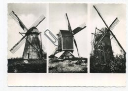 Kasterlee :  Zie Scans   (   15 X 10.5 Cm )   Windmolens - Kasterlee