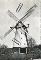 Kasterlee : Windmolen :  De Beermolen Van Terlo   (   Geschreven 15 X 10.5 Cm ) - Kasterlee