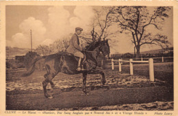 71-CLUNY- LE HARAS, "NATTIER " PUR SANG ANGLAIS PAR " NOUVEL AN " ET " VIERGE BLONDE " - Cluny