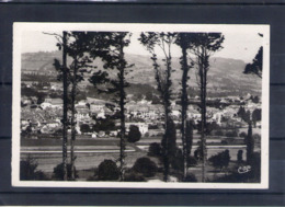 Delcampe - 74. Rumilly. Panorama à Travers Les Bois. Cpsm Petit Format - Rumilly