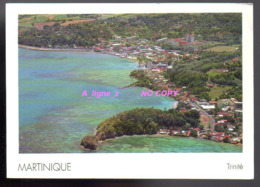 REF 424 : CPM MARTINIQUE TRINITE Vue Aérienne - La Trinite