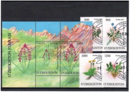 Uzbekistan 2011.Flowers . 4v+S/S; 800,900,1000,1200+1000/1900.   Michel # 923-26 + BL 59 (oo) - Usbekistan