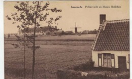 Assenede - Polderzicht En Molen Holleken - Uit. C. Pladet Aerts - RARE - Assenede