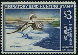 US RW34  Mint O.g. Hinged   Stamp From 1967 - Duck Stamps