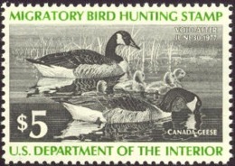 US RW43  VF  Mint NH   Stamp From 1976 - Duck Stamps