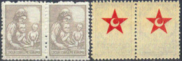 TURKEY 1943 Health PAIRS:2 ERROR:1st No Moon 2nd On Reverse Gum - Unused Stamps