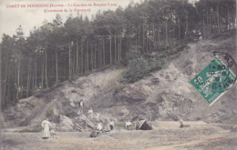 CPA - 72 - LA FRESNAY Sur CHEDOUET - Carrière De Bruyère Louis - La Fresnaye Sur Chédouet