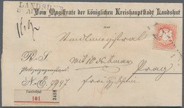 Bayern - Marken Und Briefe: 1870 Wappen 18 Kr. B-Farbe Dunkelziegelrot WZ X Als WERTBRIEF-EINZELFRAN - Altri & Non Classificati
