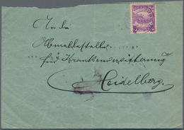 Deutsches Reich - Privatpost (Stadtpost): HEIDELBERG: 2 Pfg Auf 3 Pfg Violett, Extrem Seltene Marke - Private & Lokale Post