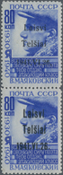 Dt. Besetzung II WK - Litauen - Telschen (Telsiai): Die Postfrischen Marken Im Senkrechtem Paar Von - Besetzungen 1938-45