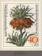 Bundesrepublik Deutschland: 1974, Nicht Angenommener Künstlerentwurf (17x20,5) Von Prof. H.Schilling - Storia Postale