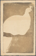 Ansichtskarten: Künstler / Artists: JOURDAIN, Francis (1876-1958), Französischer Kunstgewerbler, Mal - Zonder Classificatie