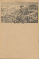Ansichtskarten: Vorläufer: 1878 Ca., HEIDELBERG, Vorläuferkarte 5 Pf Lila Als Privatganzsache, Ungeb - Ohne Zuordnung