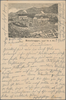 Ansichtskarten: Vorläufer: 1889, ROSSTRAPPE Winzenburg, Vorläuferkarte 5 Pf Lila Als Privatganzsache - Zonder Classificatie